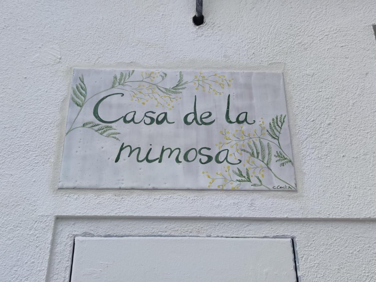 コルドバLa Casa De La Mimosaアパートメント エクステリア 写真