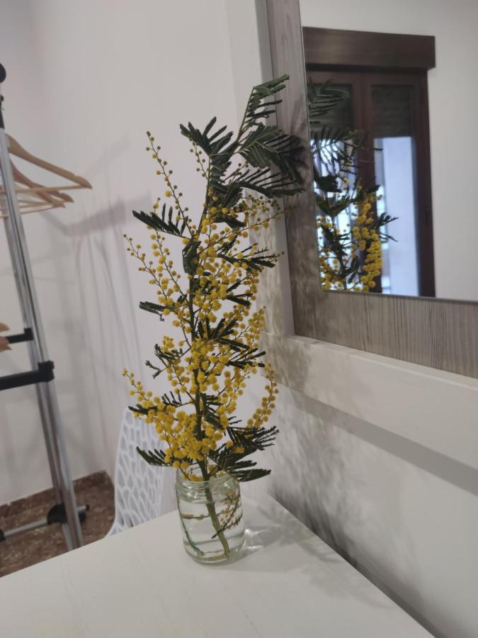コルドバLa Casa De La Mimosaアパートメント エクステリア 写真